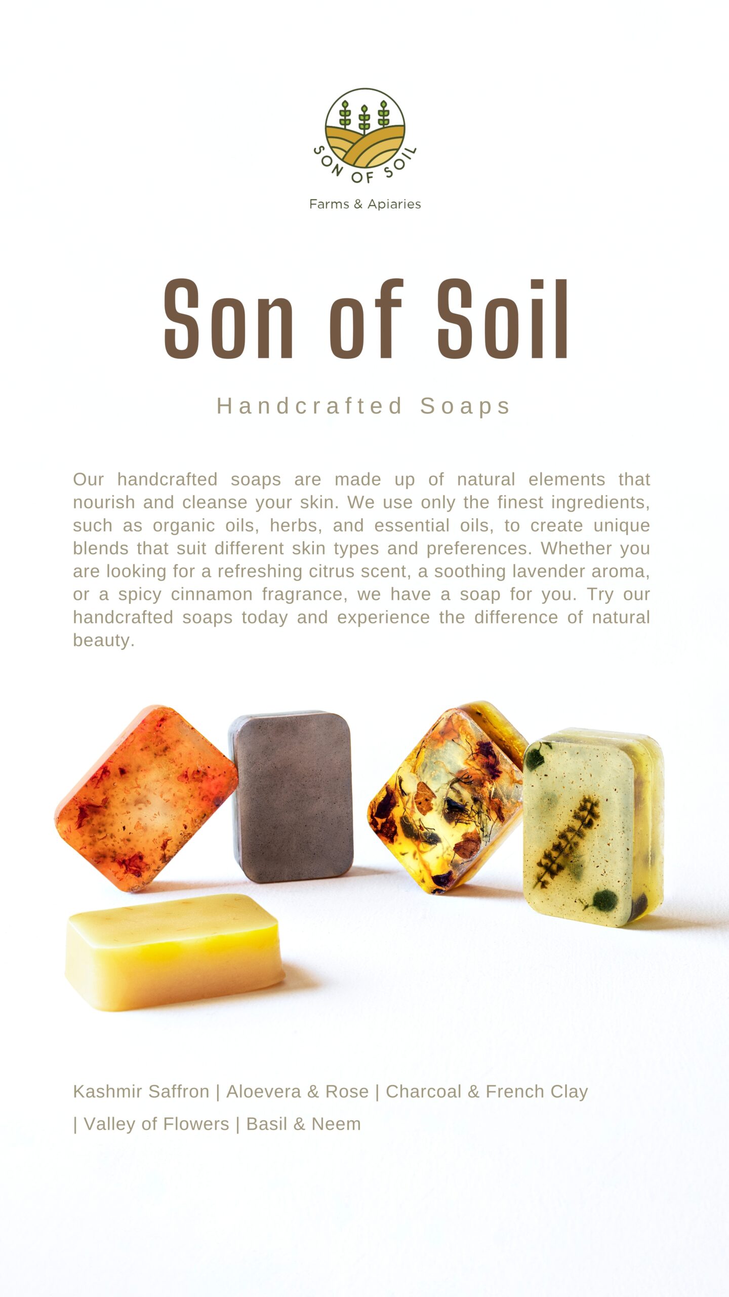 SON OF SOIL All in One Handcrafted Soaps Collection - Natural | No Colours | No Parabens - 120 gm Each (Pack of 5) - Image 3