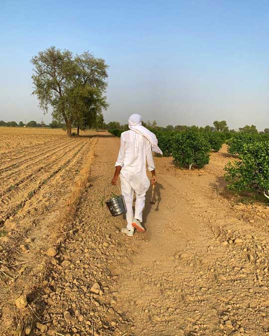farmar in field