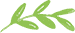 logo leaf right